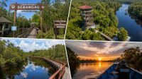 4 Wisata di Sebangau